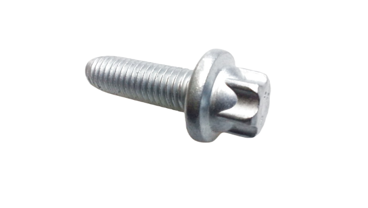 Torx screw, Number 10 in the illustration