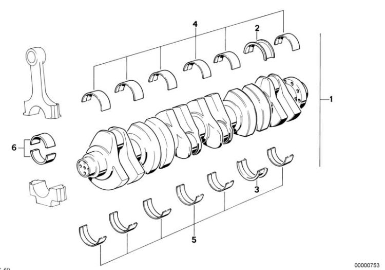Coquille de coussinet, numéro 06 dans l'illustration