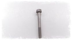 Hex bolt with washer M6x55-Z1