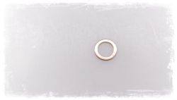 Gasket ring A10x15-CU