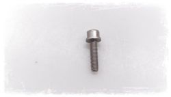 Internal Torx screw with washer M6x25-U1-8.8
