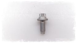 Torx screw with ribs M8x19-ZNS3